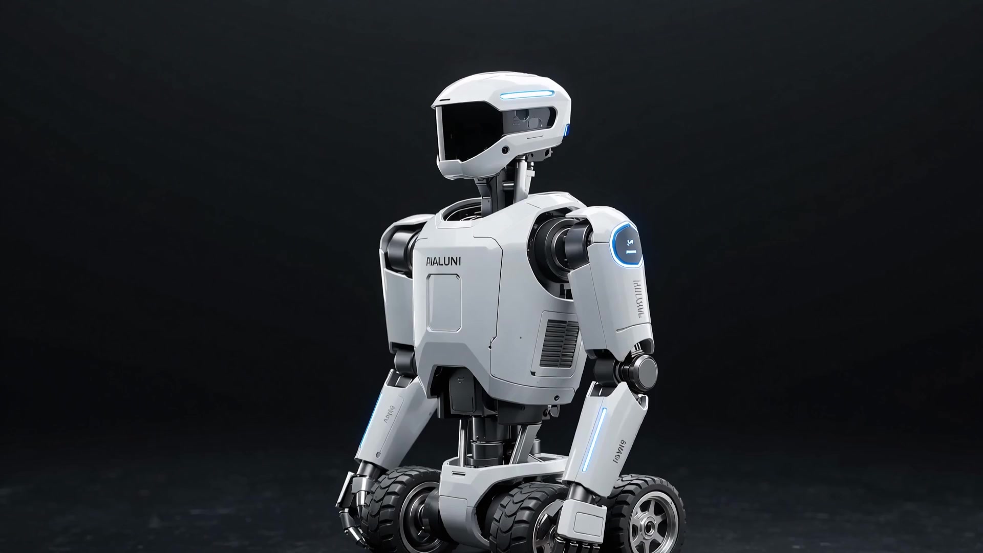 Analini A1 Home Companion Robot